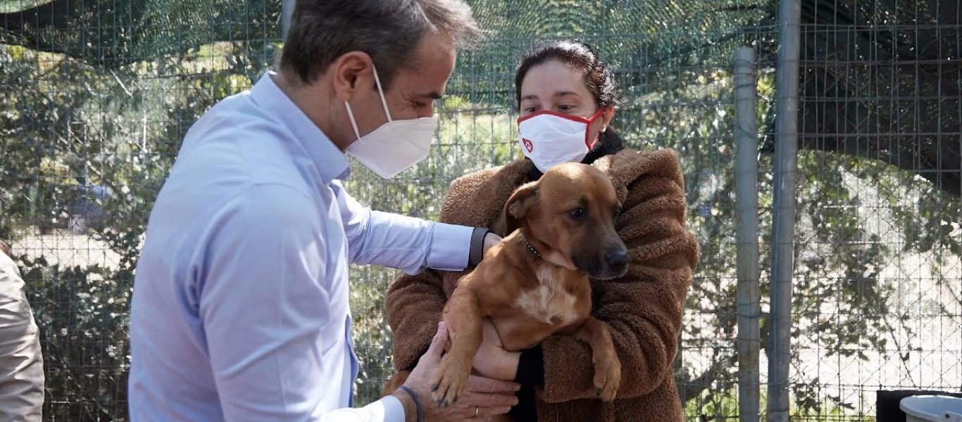 Η «Καθημερινή» «καρφώνει» Κ.Μητσοτάκη: «Υιοθέτησε τον Peanut από μη αδειοδοτημένο καταφύγιο»